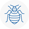 Bed Bug Extermination In Wimborne Minster