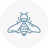 Bee Nest Removal Wimborne Minster
