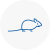 Mice Exterminators In Wimborne Minster
