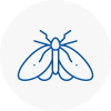 Moth Control Specialists In Wimborne Minster