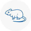Rat Control Wimborne Minster