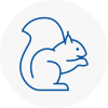 Wimborne Minster Rodent Removals